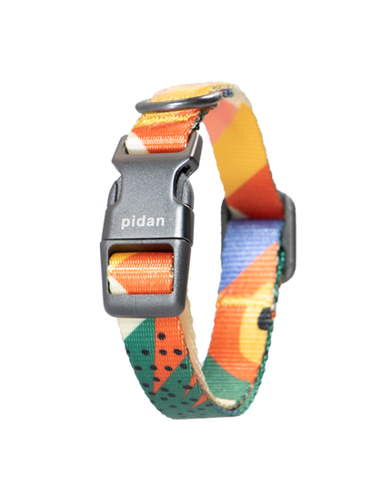 Pidan Dog Collar with Metal Buckle