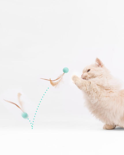 Pidan Pet Toy For Cats Bouncy Ball Type 3 PCS