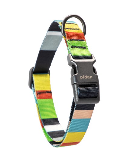 Pidan Dog Collar with Metal Buckle