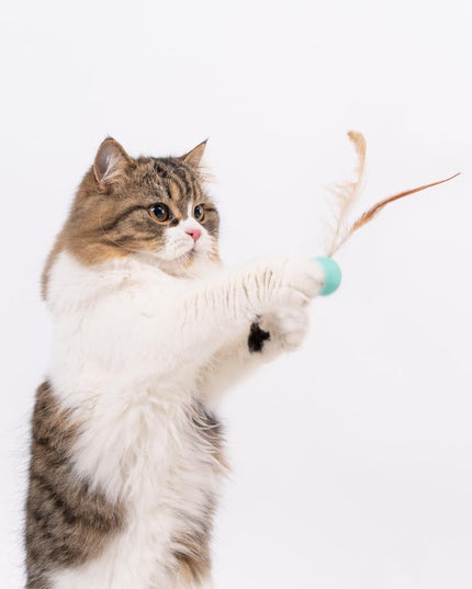 Pidan Pet Toy For Cats Bouncy Ball Type 3 PCS