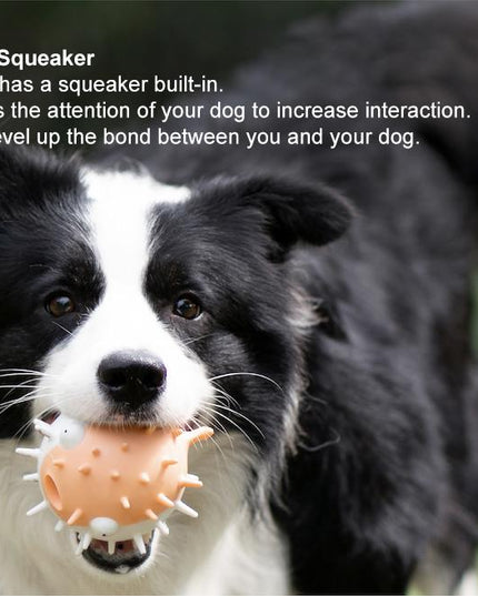 Pidan “Balloonfish” 狗狗吱吱玩具，绿色