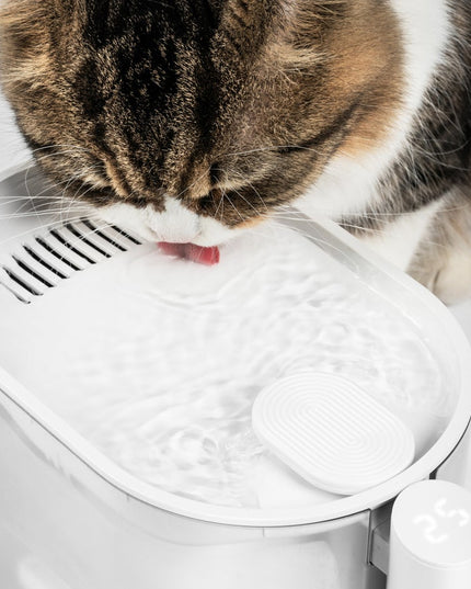 Pidan Water Fountain for Pets with Water with Temperature Control - 2.0 Version