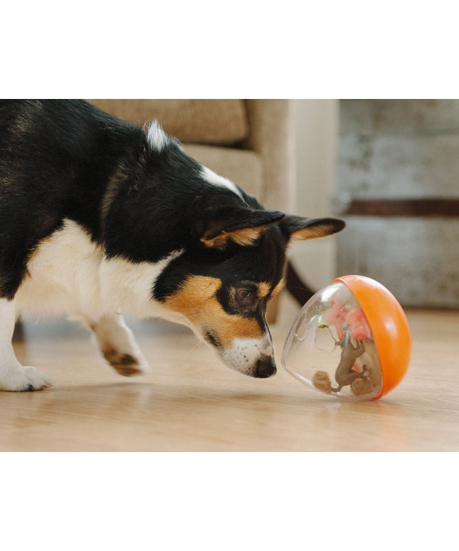 Pet Play Wobble Ball 2.0