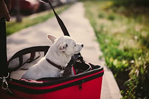 One for pets carrier fashion