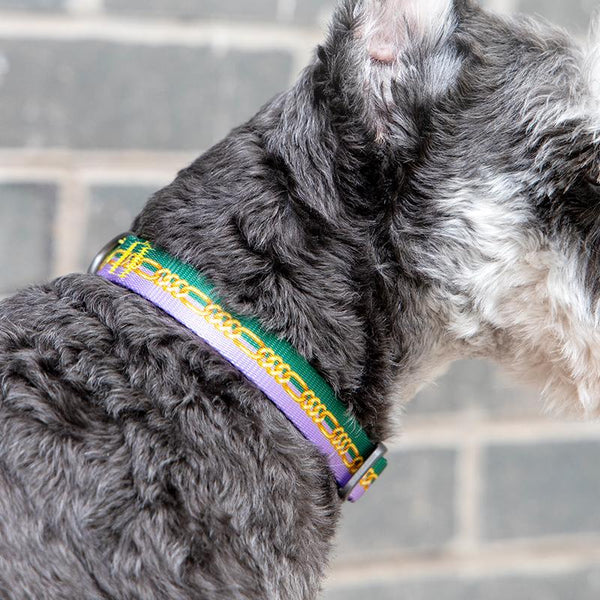 Pidan Dog Collar with Metal Buckle