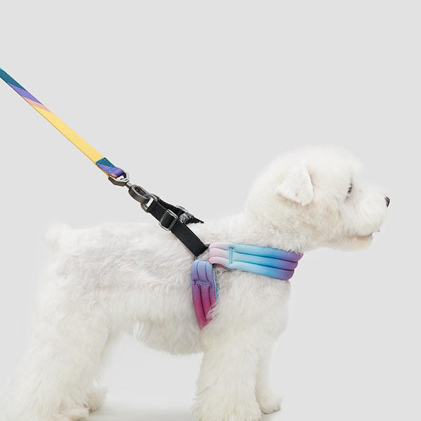 Pidan Pet Harness for Dog