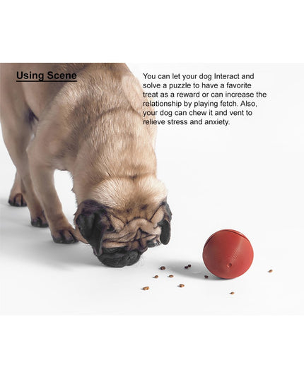 Pidan “Pop Art” 狗粮分发玩具