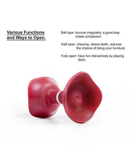 Pidan “Pop Art” 狗粮分发玩具