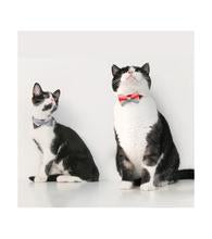 Pidan Cat Bow Tie Collar