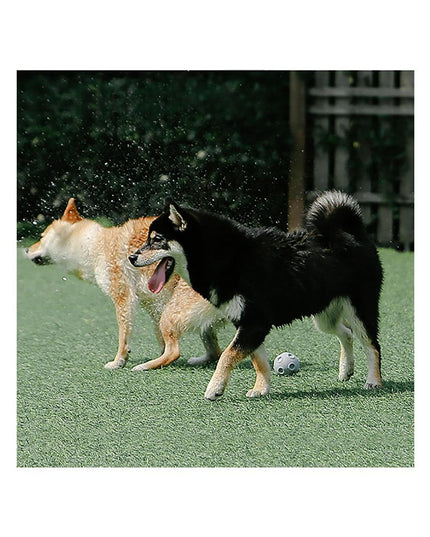 Pidan Dog Toy Ball