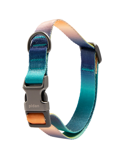 Pidan Dog Collar with Metal Buckle