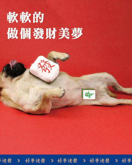 PurLab Mahjong Cat Toy With Catnips