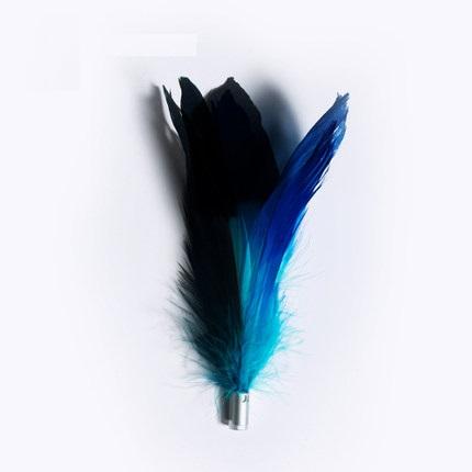 Pidan Cat Teaser Toy Accessories, A2 Feather