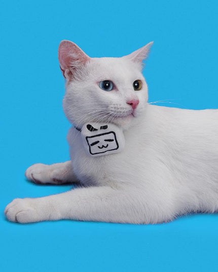 Pidan x Bilibili TV Gift Set