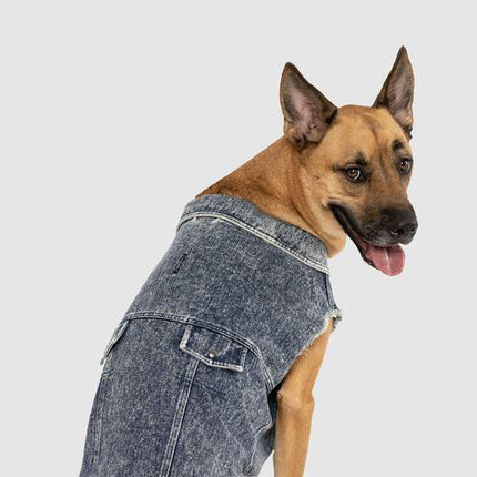 Canada Pooch Downtown 牛仔背心