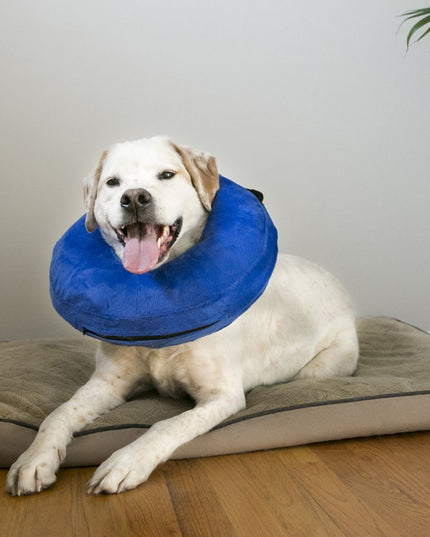 KONG Cloud™ Premium Protective Collar - 3 Size