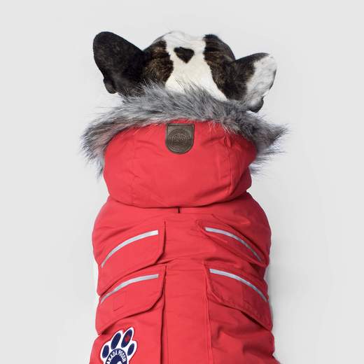 Canada Pooch Everest Explorer Jacket Red