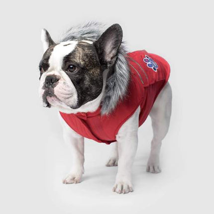 Canada Pooch Everest Explorer Jacket Red