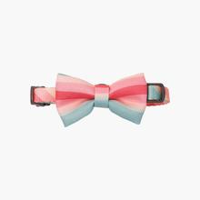 Pidan Cat Bow Tie Collar