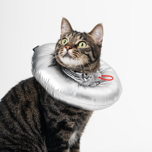 Pidan E-Collar for Pets Waterproof Cloth Pillow Type