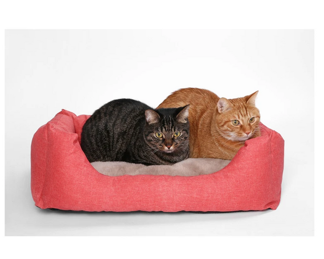 Pidan All Season Two Sided Bed with Soft Cushion and Ice Mat