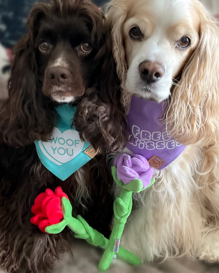 foufouBrands Foufit Florals Hide 'n Seek Plush Roses Fun Dog Toys, Valentine Flowers