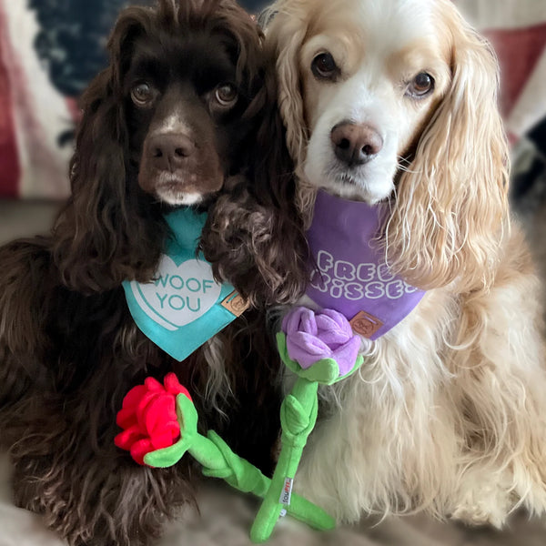 Foufou Brands Foufit Florals Hide 'n Seek Plush Roses Fun Dog Toys, Valentine Flowers