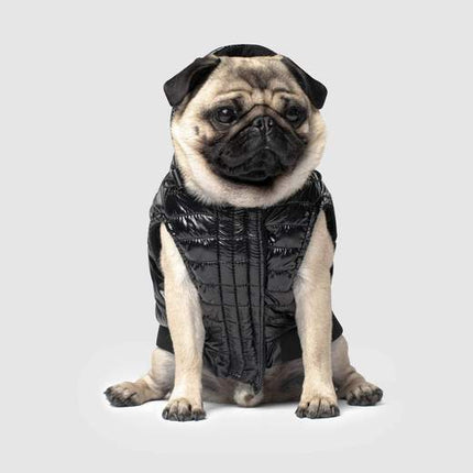 Canada Pooch Shiny Puffer Vest Black