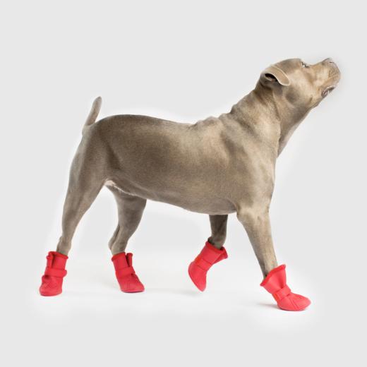 Canada Pooch Lined Wellies Dog Boots