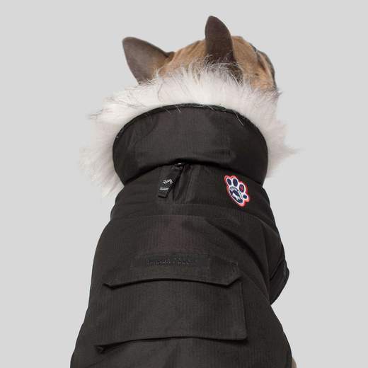 Canada Pooch Winter Wilderness Parka Black