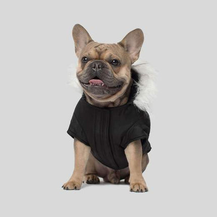 Canada Pooch Winter Wilderness Parka Black