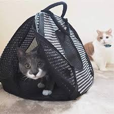 Neco Ichi Ultralite 弹出式猫笼（黑色）