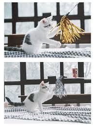 Touch Cat Cat Teaser