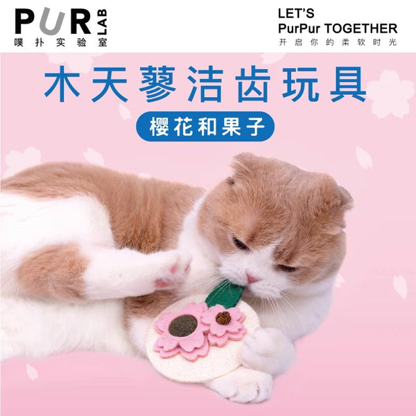 Purlab Cat Teeth Cleaning Toy with Silvervine and Silvervine Seed