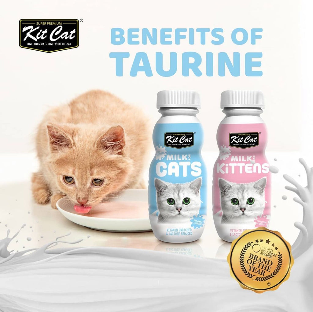 Cat milk shop for older cats