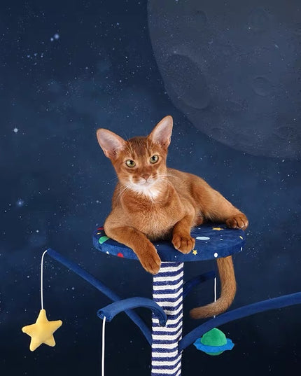 ZeZe Galaxy Series Cat Scratcher Poll and Toy