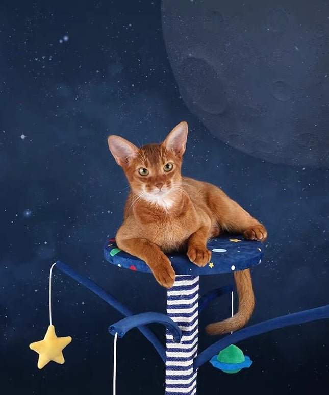 ZeZe Galaxy Series Cat Scratcher Poll and Toy
