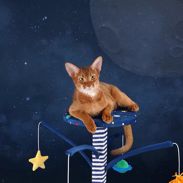 Zeze Galaxy 系列猫抓板投票和玩具