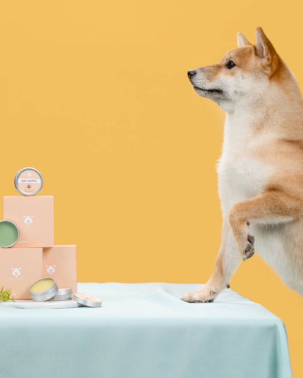 Amo Petric Snout Soother