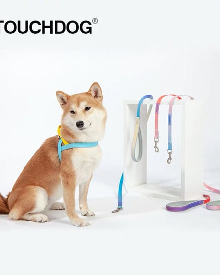 Touchdog Harness & Leash Set (does not include collar)