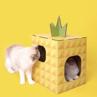 PurLab Pineapple House Scratcher