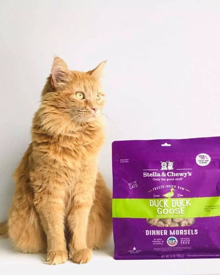 Stella and Chewy's 鸭鸭鹅冻干生晚餐小块