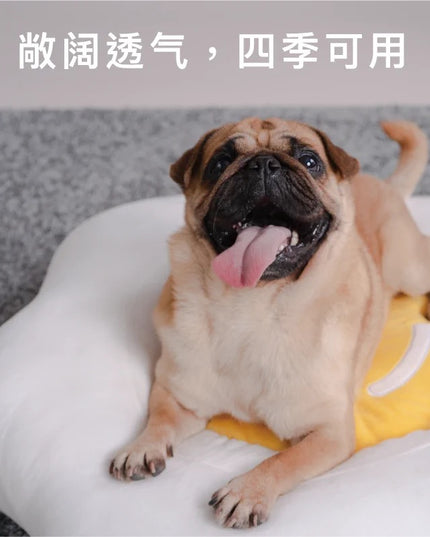 PurLab Egg Shaped Pet Bed & Mask