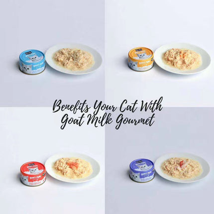 Collection image for: Kit Cat