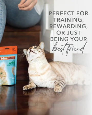 Feline Natural Beef and Organs Healthy Bites Cat Treats - 50g