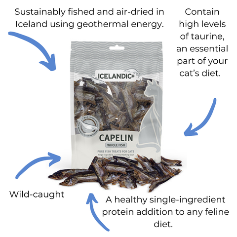 Icelandic+ Capelin Whole Fish & Pieces Cat Treat 1.5-oz Bag