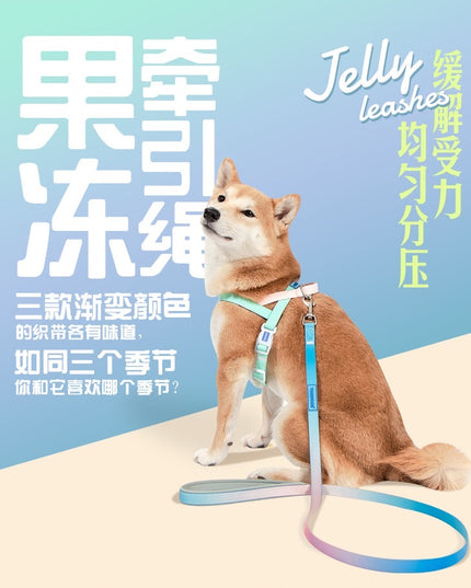 Touchdog Harness & Leash Set (does not include collar)