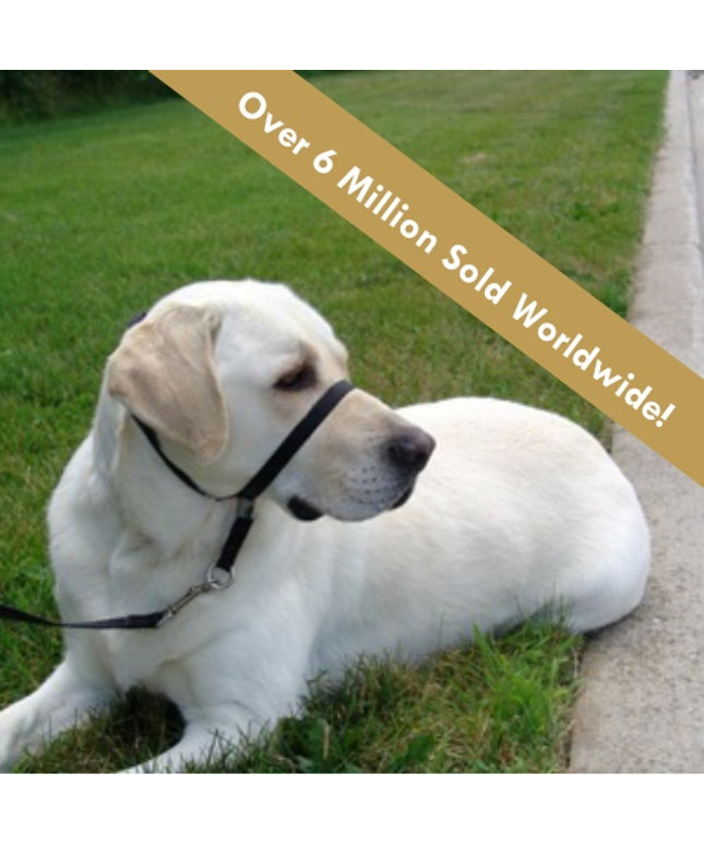 Gentle Leader® Headcollar