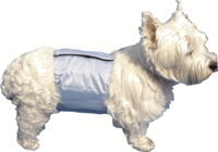 PoochPants™ Reusable Male Wraps Belly Bands