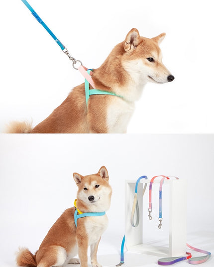 Touchdog Harness & Leash Set (does not include collar)